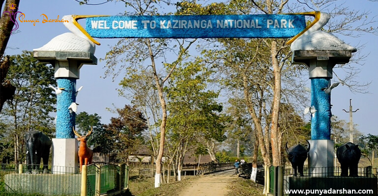 punyadarshan_Kaziranga-National-Park-Assam